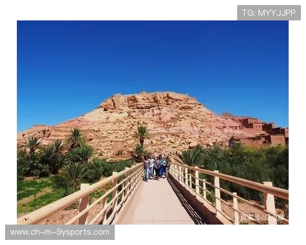 “沙漠之王：车队在金色海洋上的激烈角逐”，沙漠车队电影