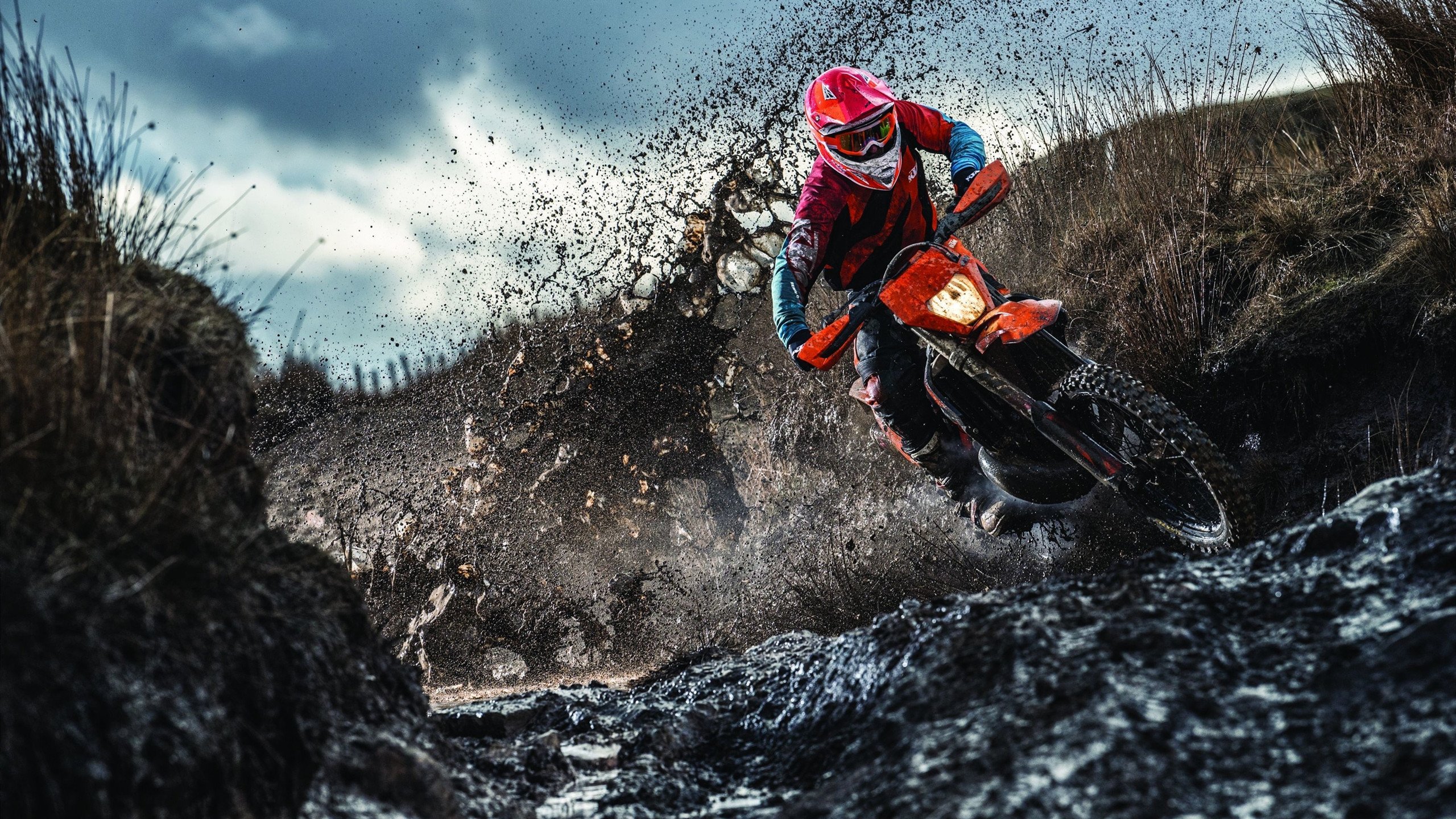 弱侧保护体系应对反向转移，弱侧保护体系应对反向转移的原因